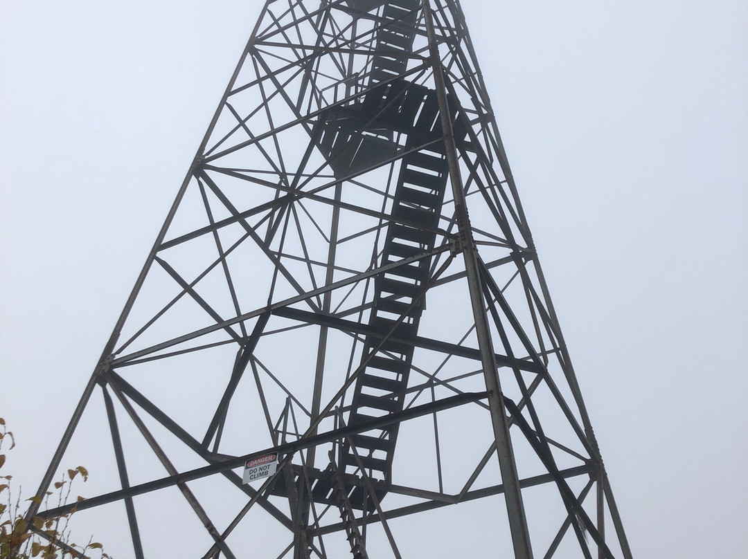 The Channels Natural Area Preserve-弗吉尼亚必去景点