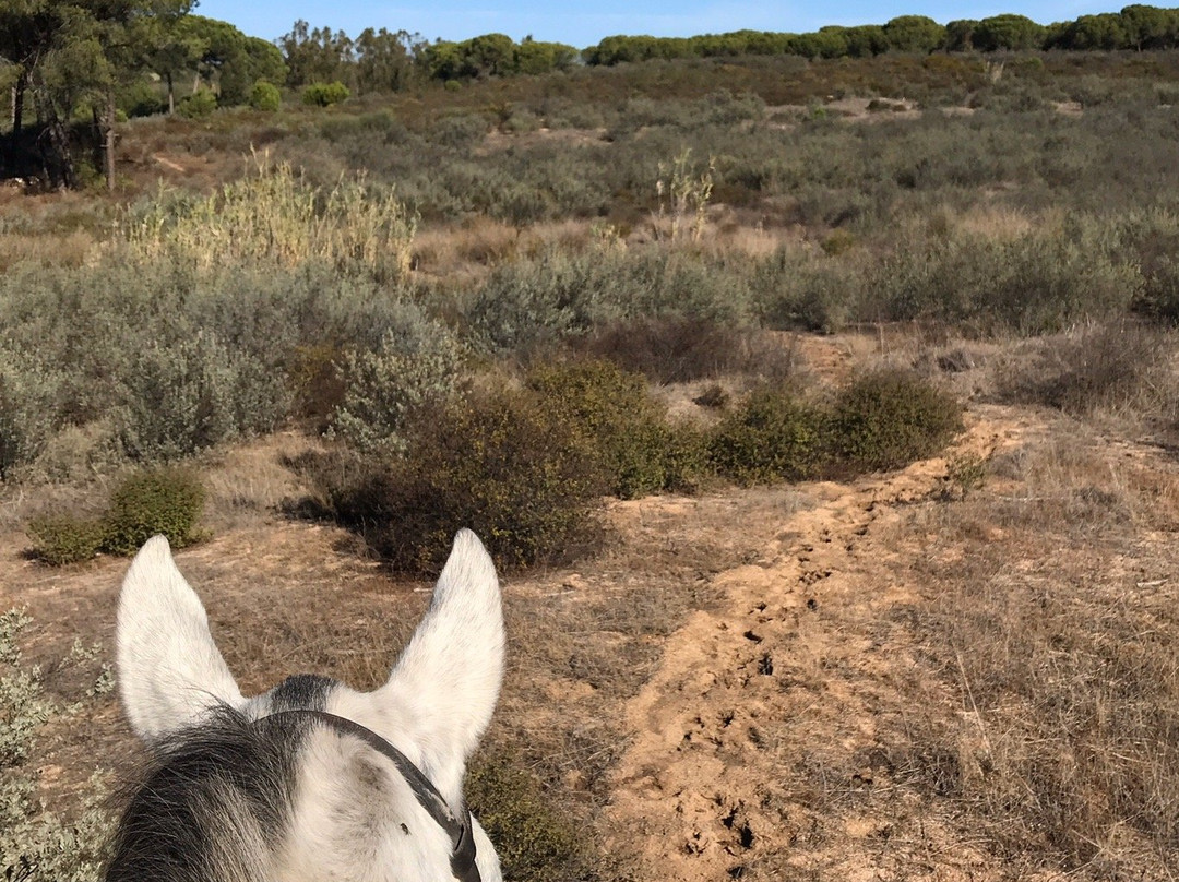 Donana Horse Adventure景点图片