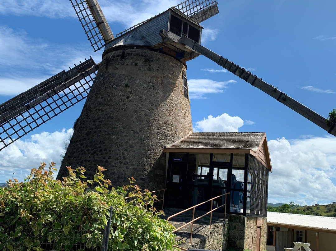 Coconut Tours-布里奇顿必去景点