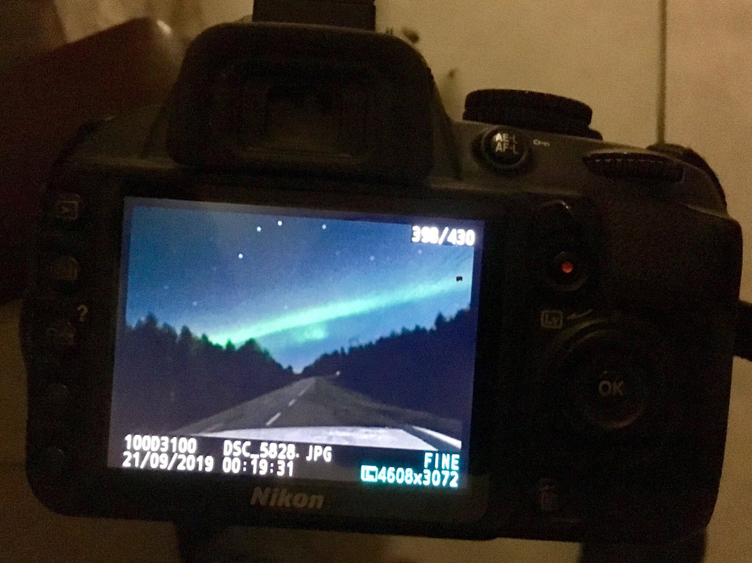 Arctic Resort Delight主图