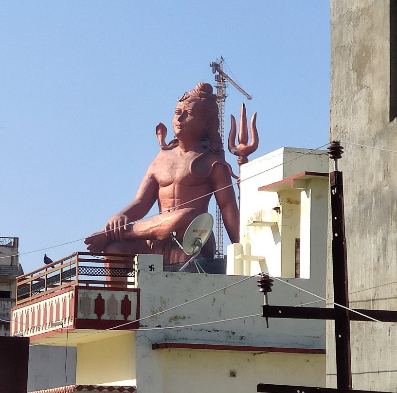 Srinathji Temple景点图片