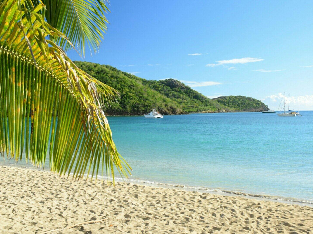 Carlisle Beach-安提瓜必去景点