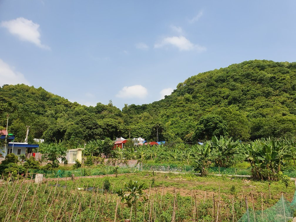 Xuan Dam旅游攻略图片