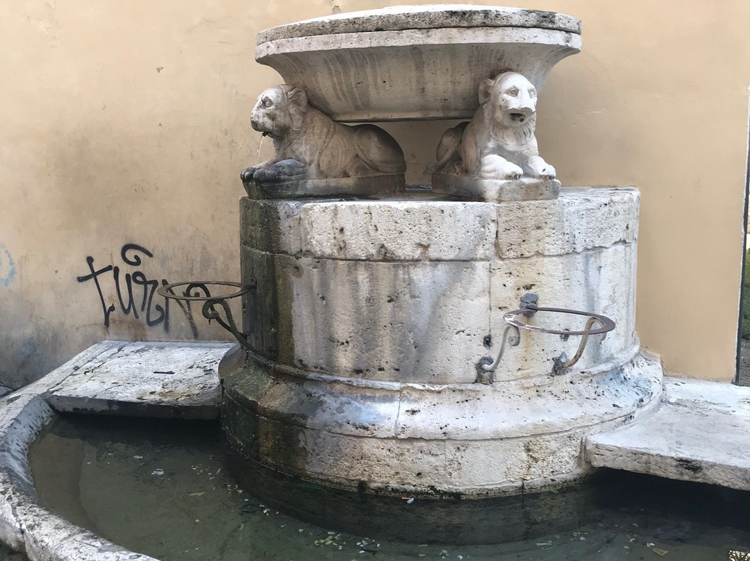 Fontana dei Cani景点图片