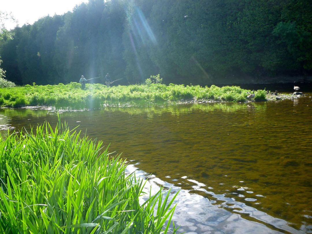 Calmwaters Fly Fishing景点图片