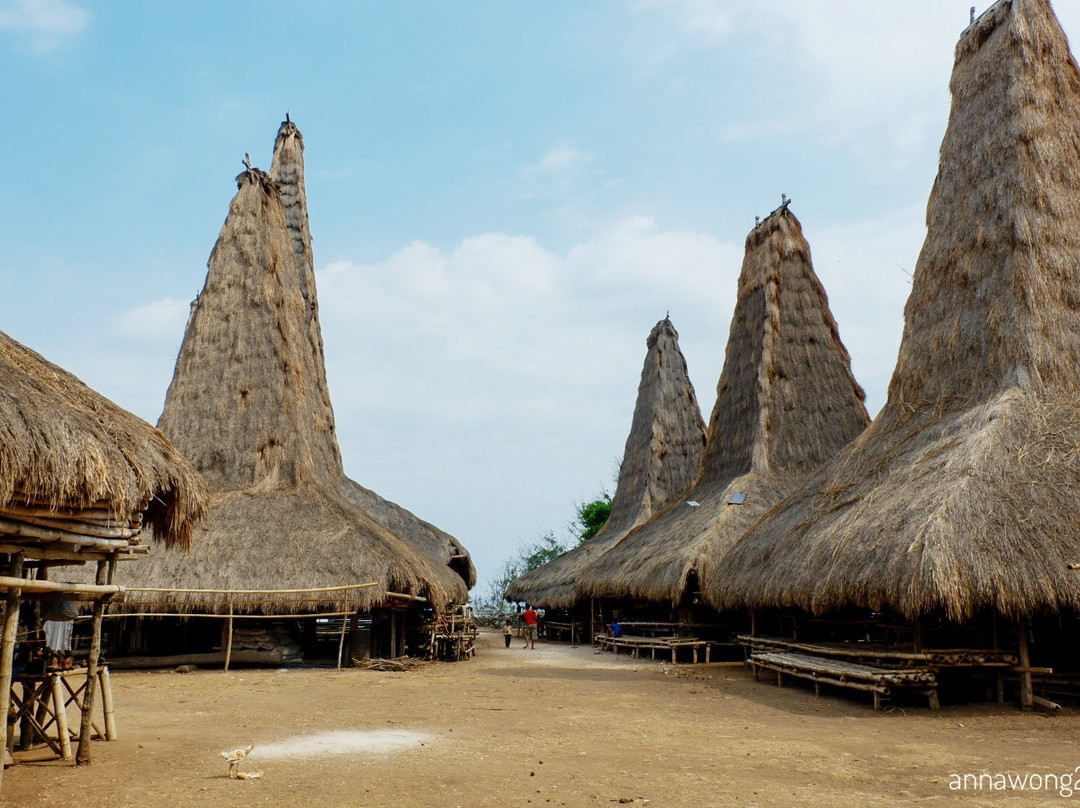 Kampung Adat Ratenggaro-松巴岛必去景点