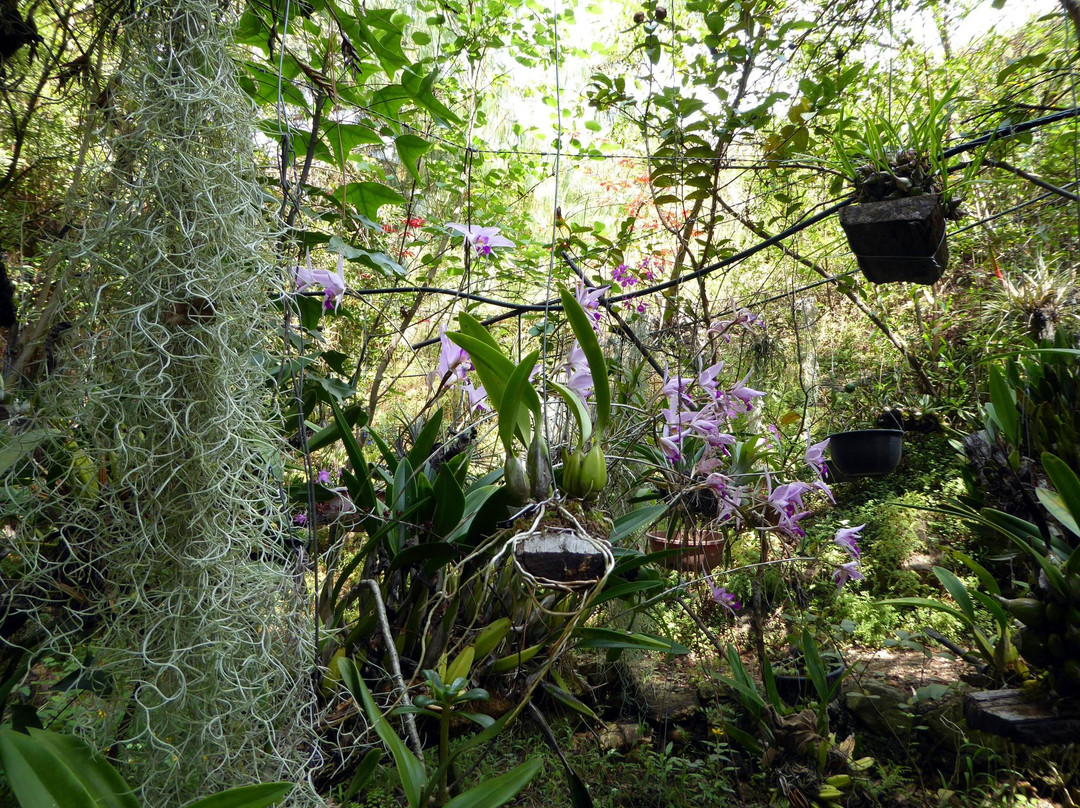 La Orquideario Encantada景点图片