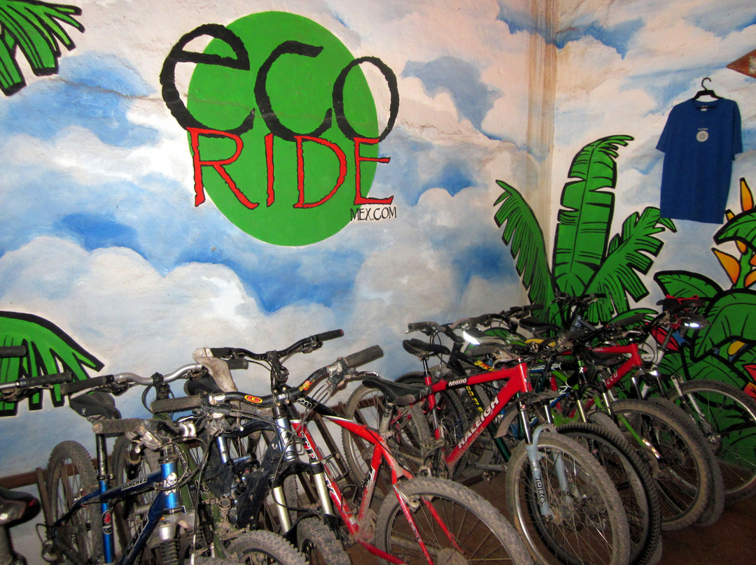 Eco Ride Mountain Bike & Hiking Tours景点图片