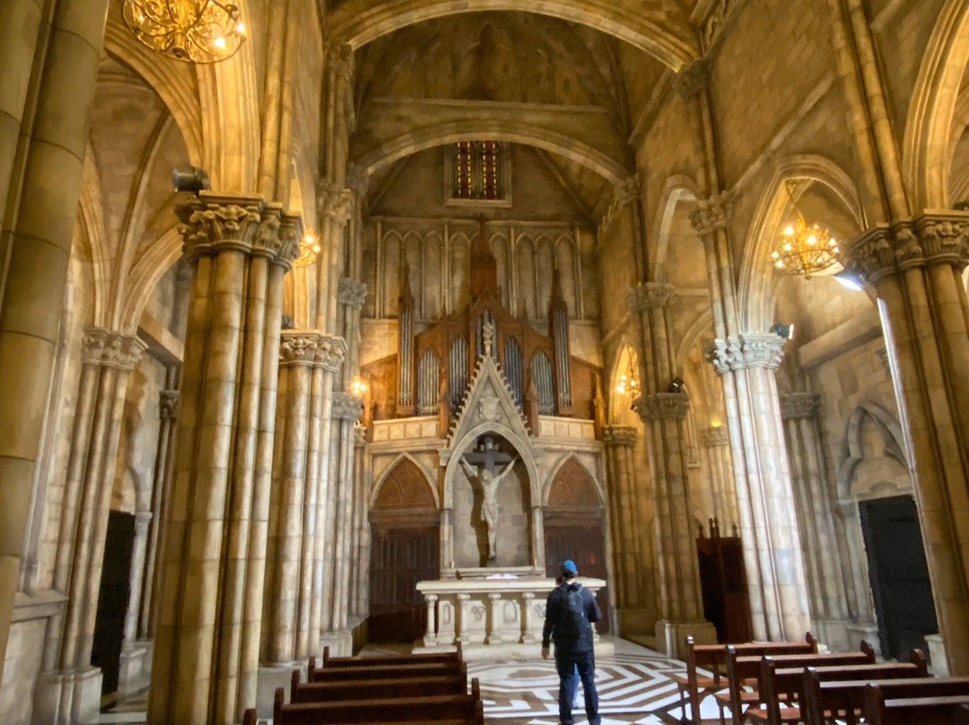 Vm Cars - The Car You Trust-岘港必去景点