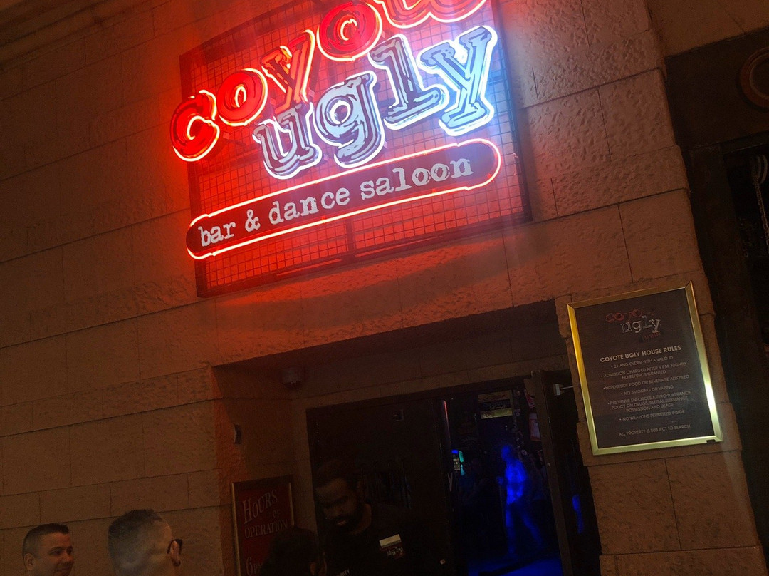 拉斯维加斯Coyote Ugly Saloon夜店景点图片