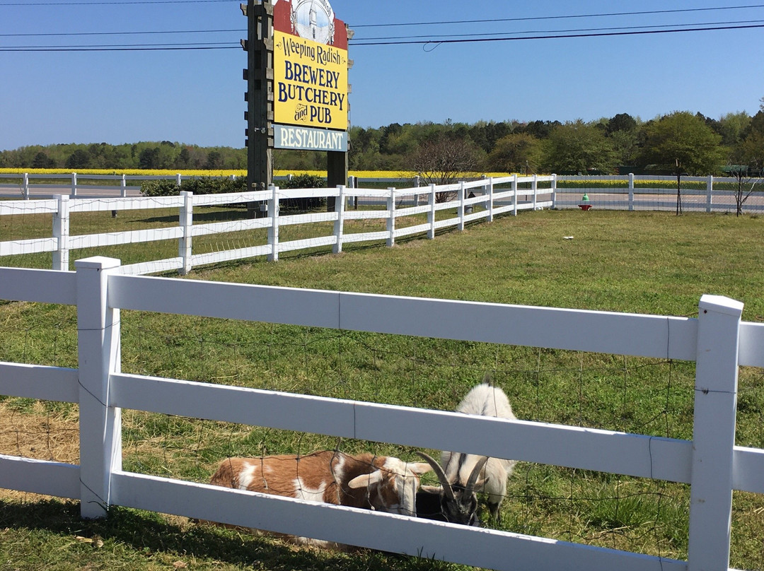 Powells Point旅游景点-Weeping Radish Farm Brewery