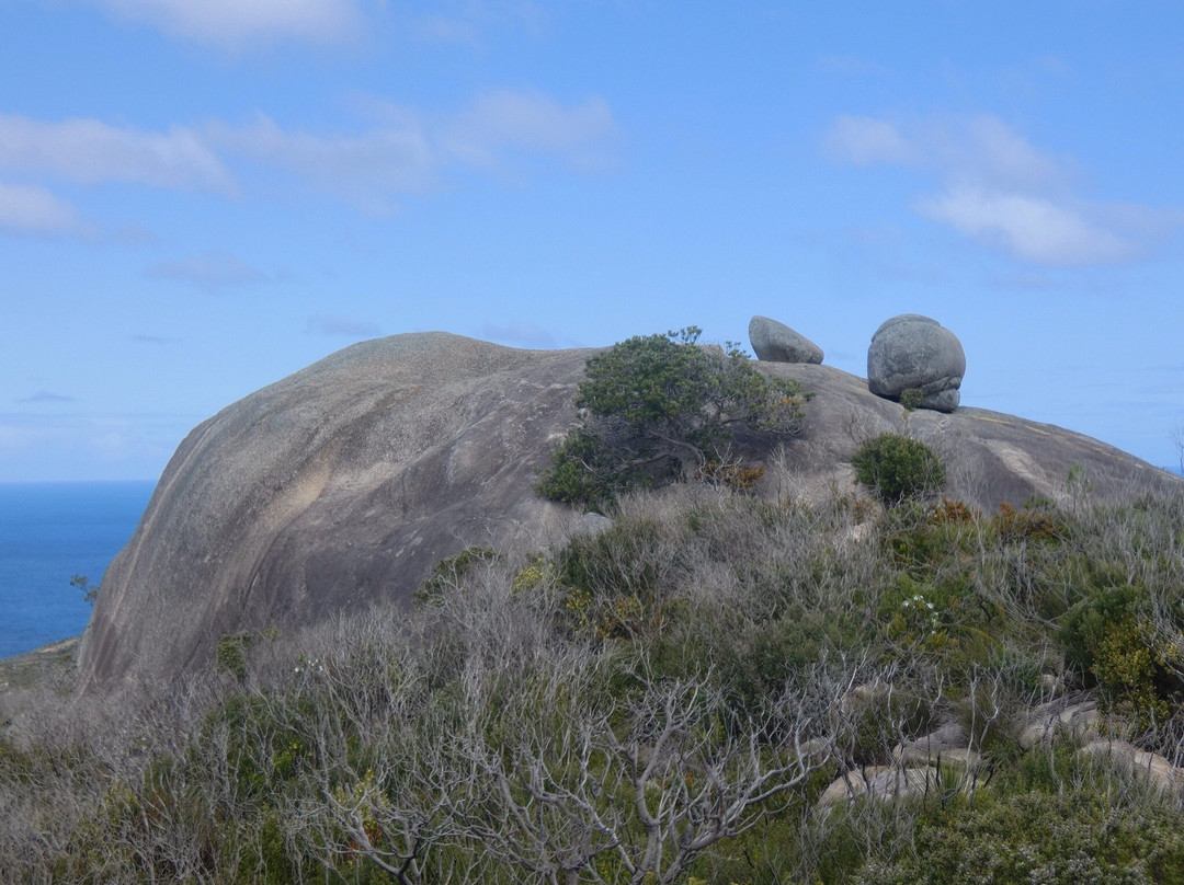 Stony Hill & Peak Head-奥尔巴尼必去景点