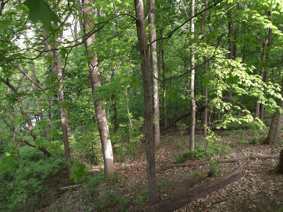 Ouabache Trails Park景点图片