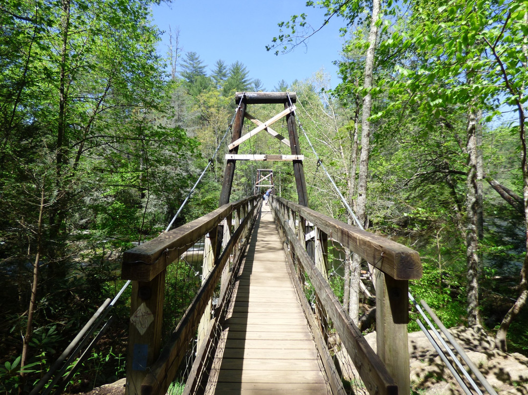 Toccoa River Swinging Bridge景点图片