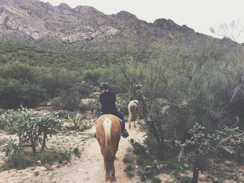 Pot A Gold Adventures-凤凰城必去景点