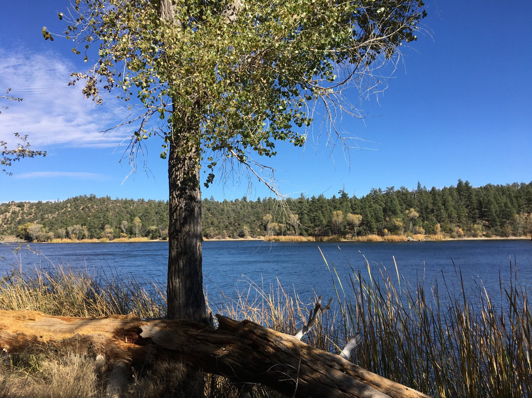 Lynx Lake Recreation Area