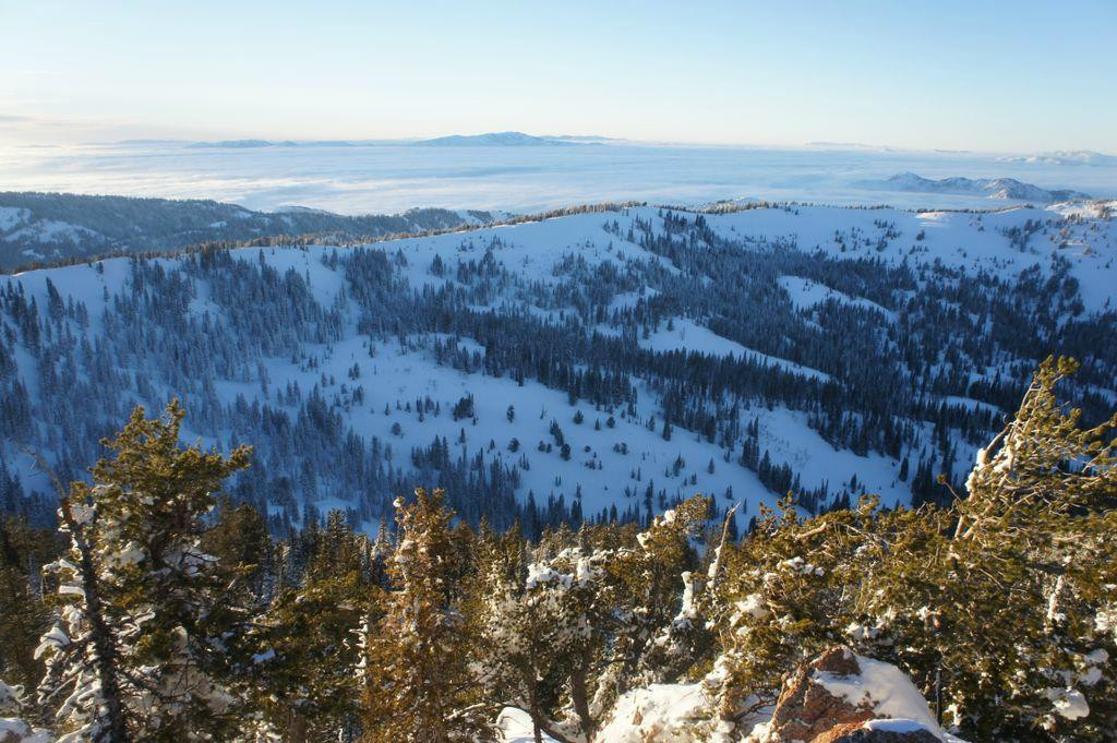 Beaver Creek Lodge Guided Snowmobile Tours景点图片