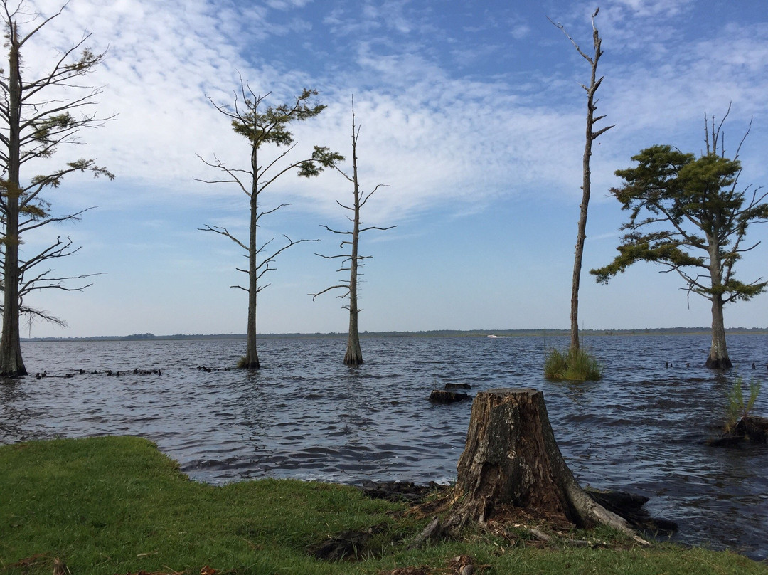 Munden Point Park景点图片