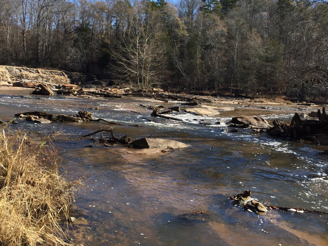 Cedar Falls Park景点图片