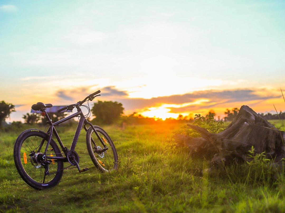 Kaziranga Cycle Tours景点图片