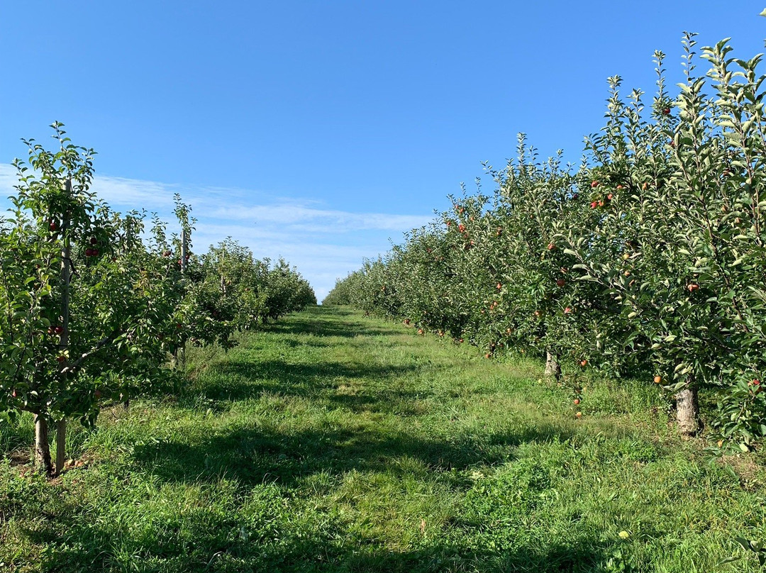 Bishop's Orchards-Guilford必去景点
