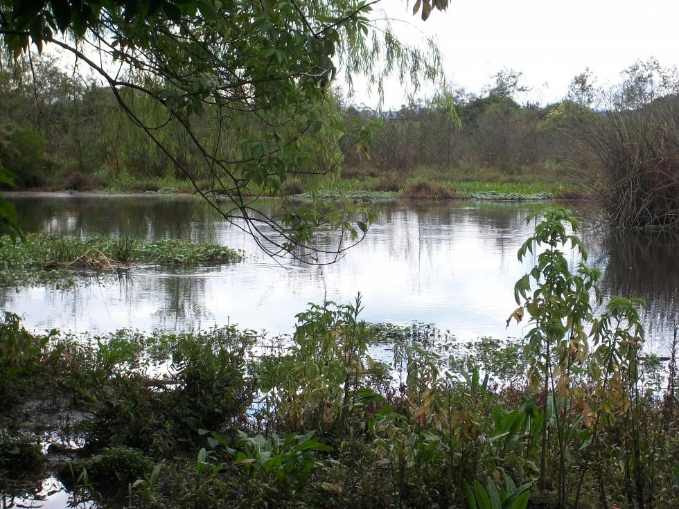 Cota旅游景点-Humedal La Conejera