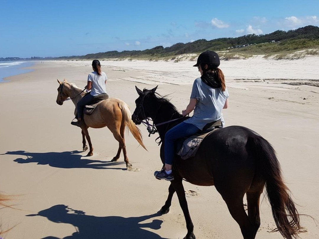 Pegasus Park Equestrian Centre-Binna Burra必去景点