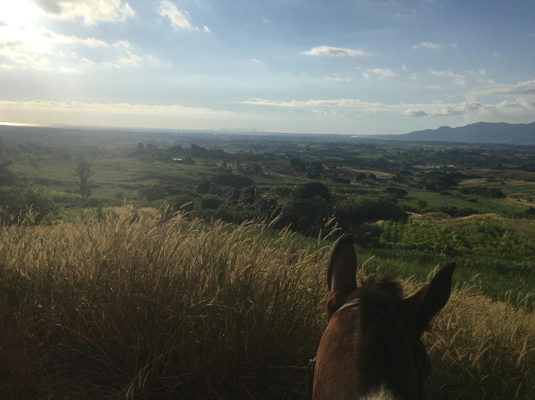 Fiji Horse Treks with Total Wellness Fiji-纳迪市必去景点