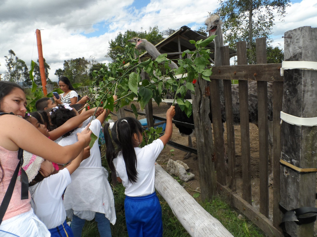 Granja Integral Mama Lombriz