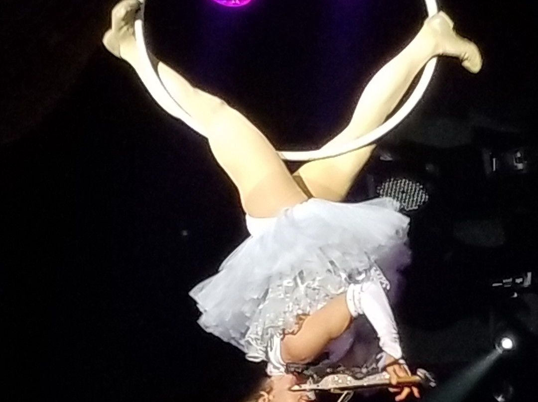 A Janice Martin Variety Show (formerly Janice Martin Cirque Show)景点图片