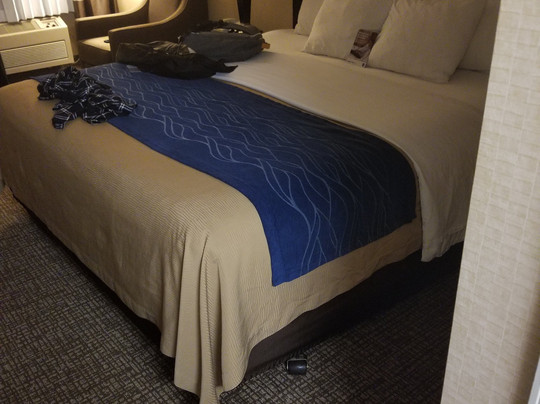 Comfort Inn On the Bay主图