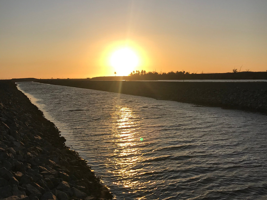 Bolsa Chica Ecological Reserve-亨廷顿海滩必去景点