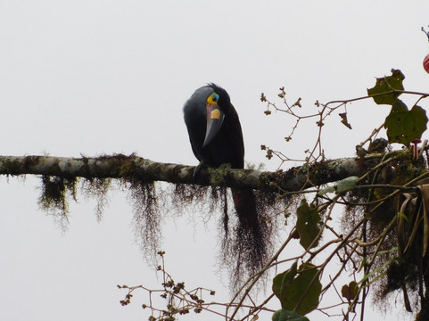 Ideal South America-马丘比丘必去景点