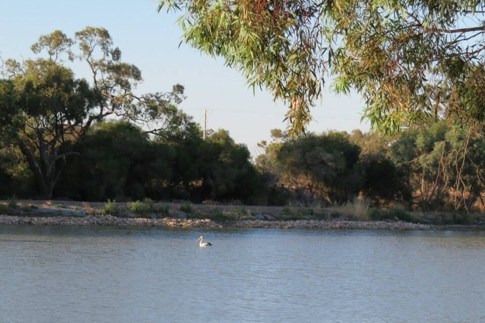 Weir Pool景点图片