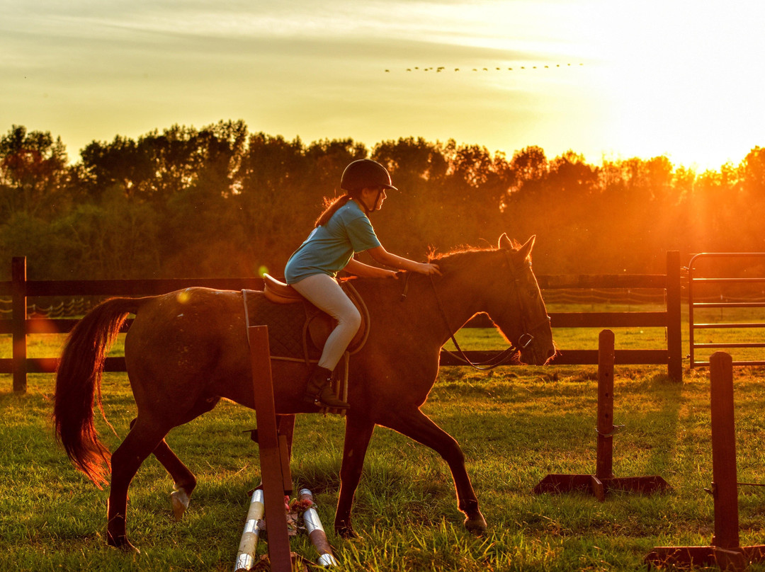 The Stables at Northeast Georgia-Carnesville必去景点