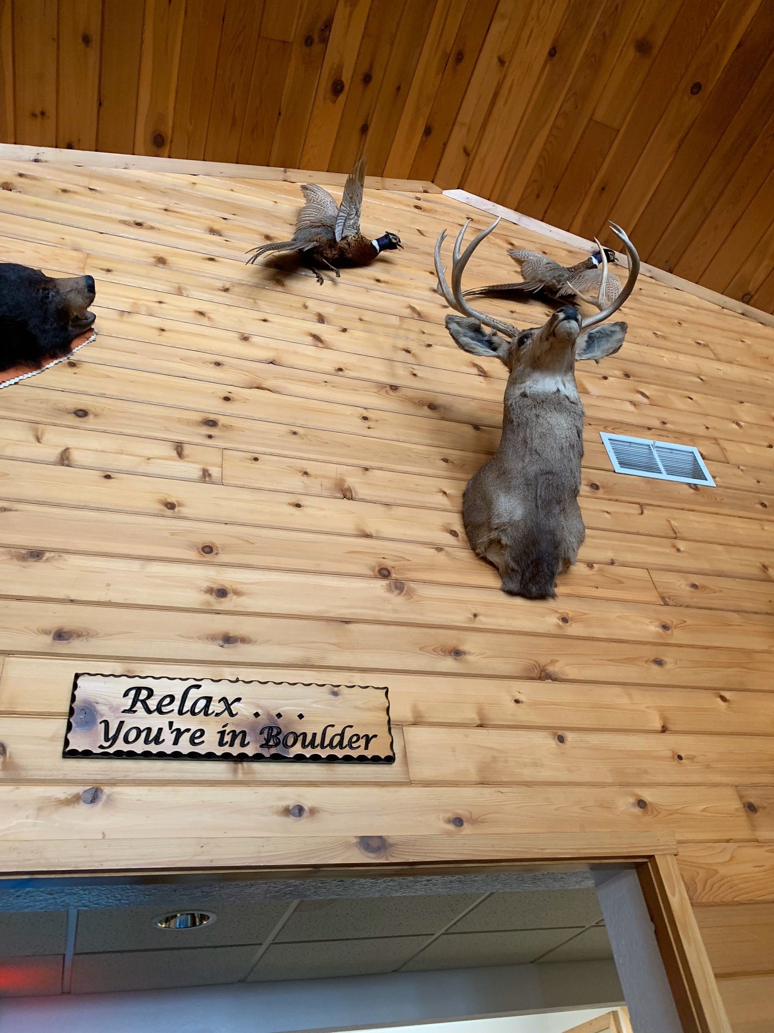 Boulder Bear Motor Lodge-官方