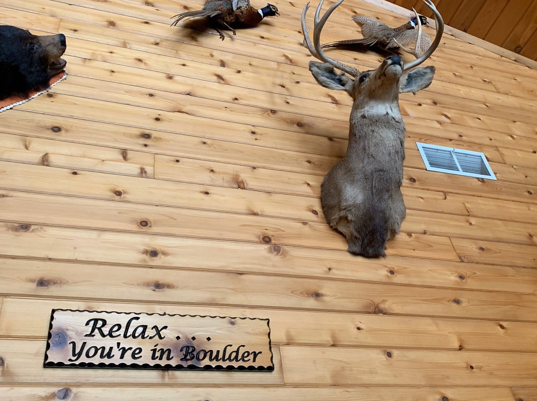 Boulder Bear Motor Lodge主图