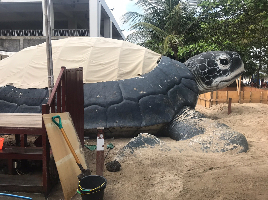 巴厘岛海龟协会景点图片