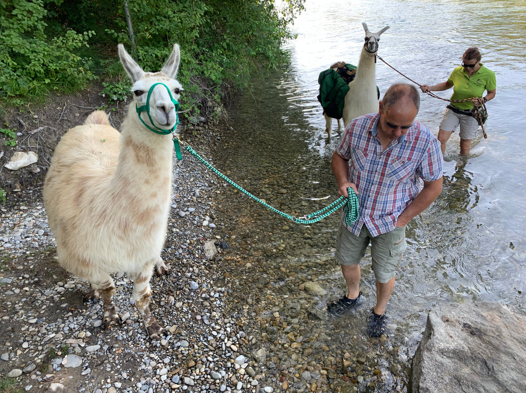 Marthalen旅游攻略图片