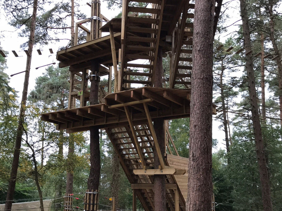 Go Ape Haldon Forest Park景点图片