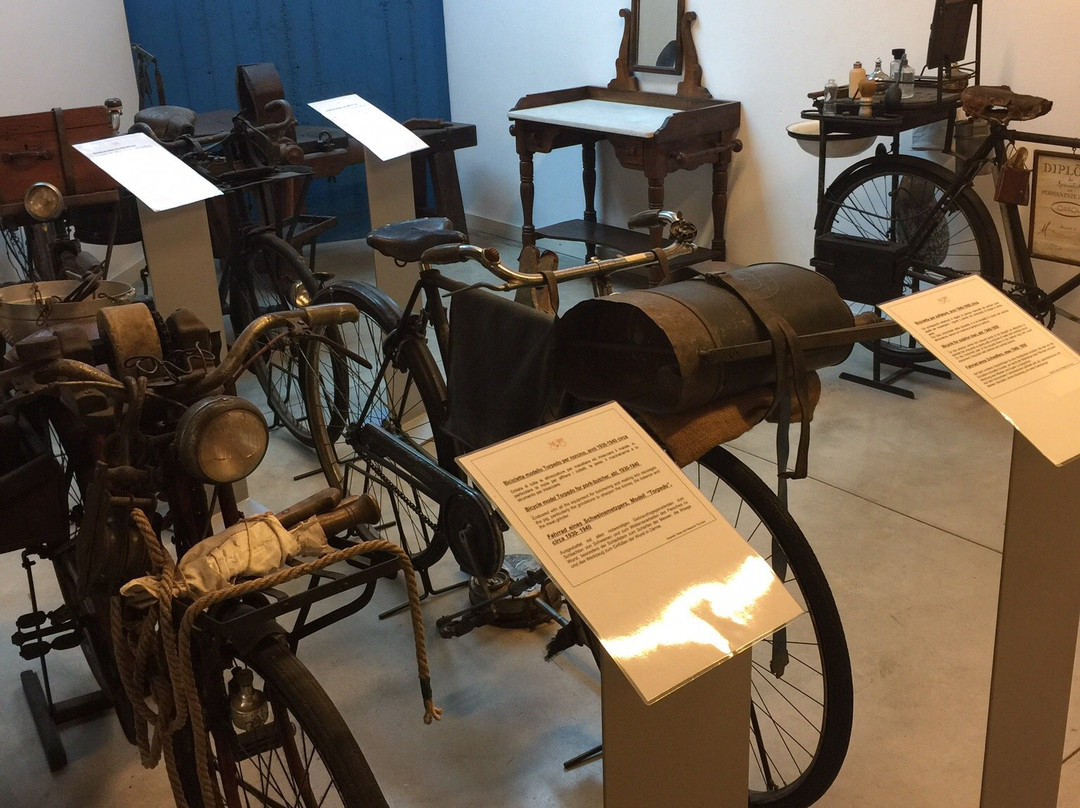 Museo del Falegname Tino Sana景点图片