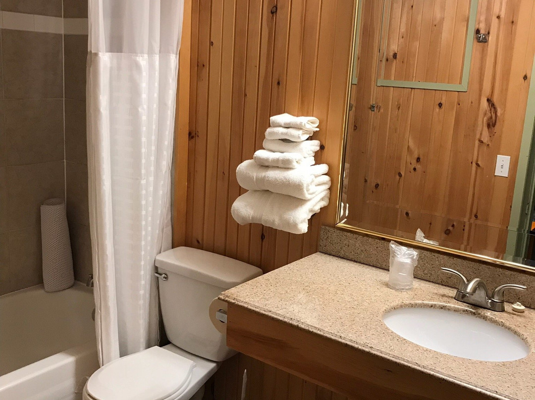 High Falls Motel and Cabins主图