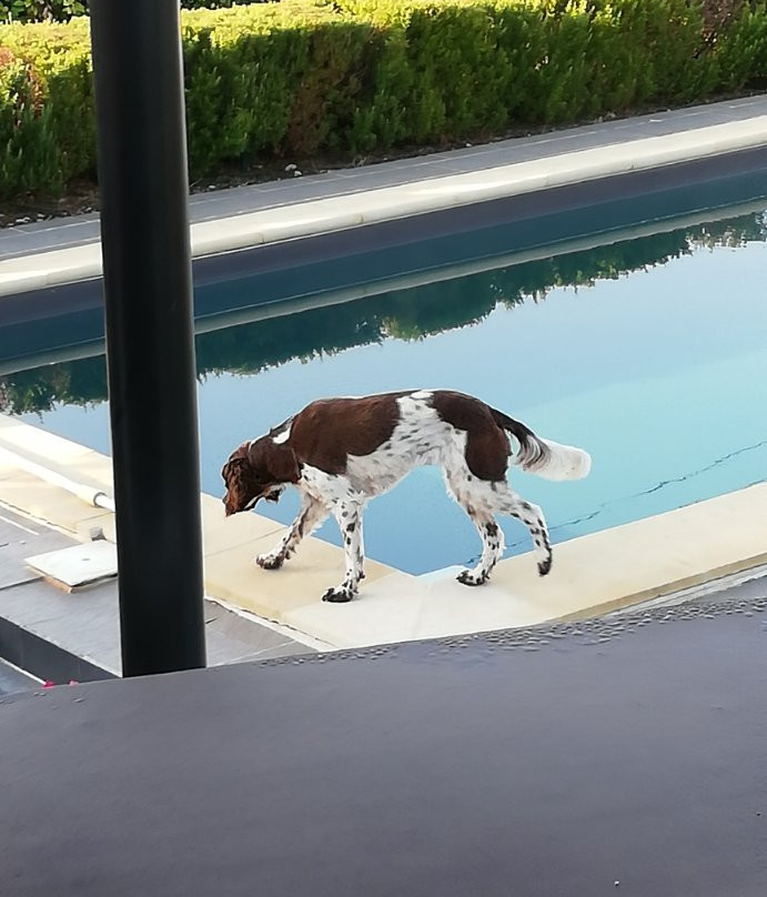 La Grande Dame主图