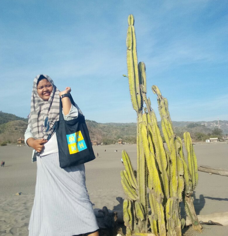 Parangkusumo Sand Dunes景点图片