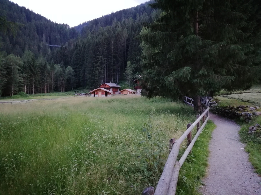 Bresimo酒店住宿-B&B ErbaMaga - Il Maso