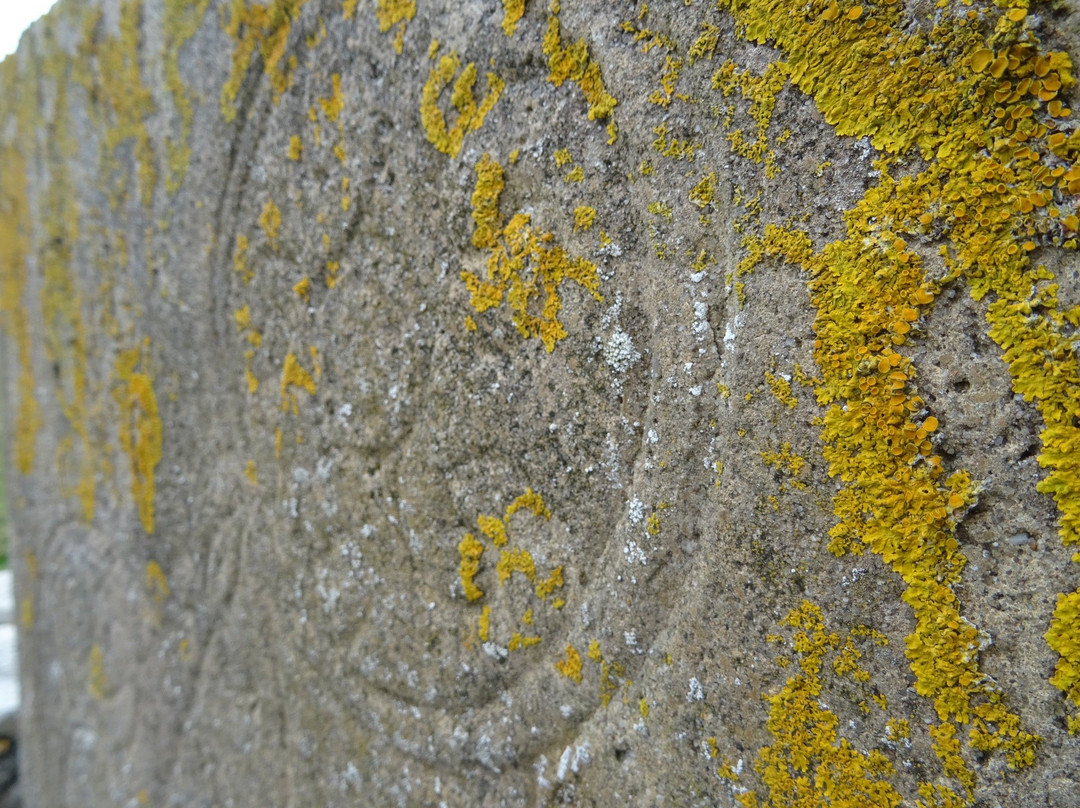 Orkney Archaeology Tours-柯克沃尔必去景点