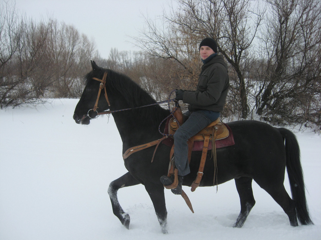Loshadinoye Tsarstvo Na Rancho
