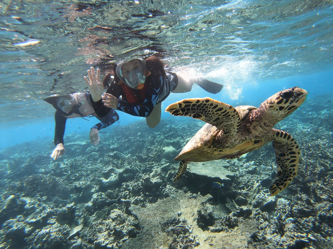 Ameera Maldives主图