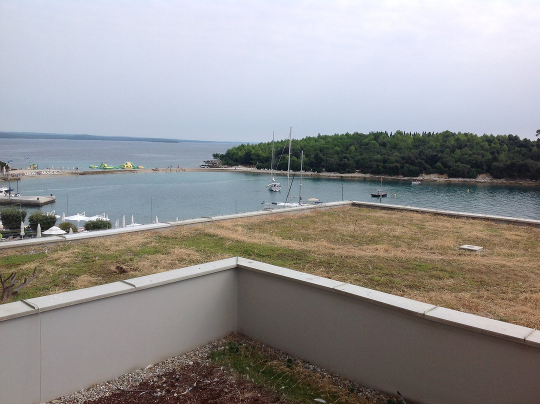 Maistra Select Island Hotel Istra主图