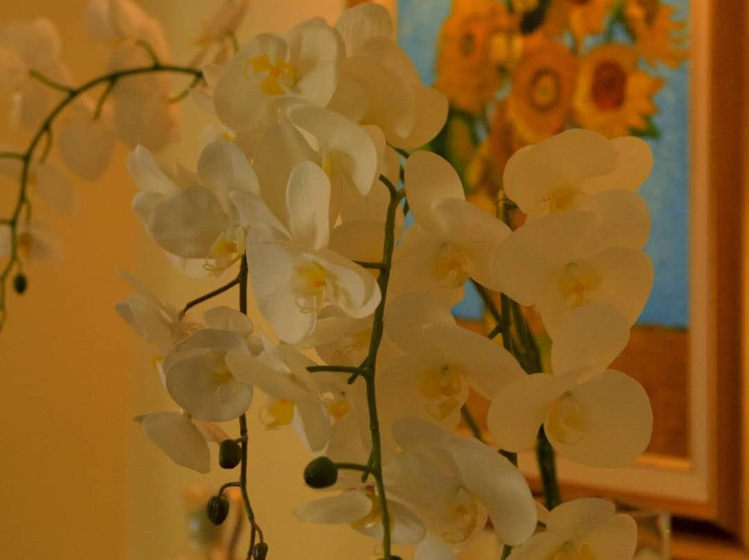 Dolliwarie Guest House主图